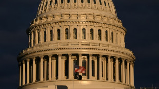 Washington in limbo as House marks 15th day without speaker
