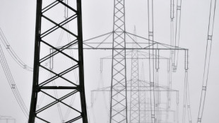 Lotse und Schiffsf&uuml;hrer wegen Blackouts nach Unfall in Hamburger Hafen verurteilt