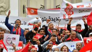 Volksabstimmung in Tunesien &uuml;ber neue Verfassung