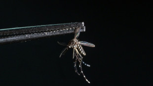 Scientist confronting the rising global threat of mosquitoes
