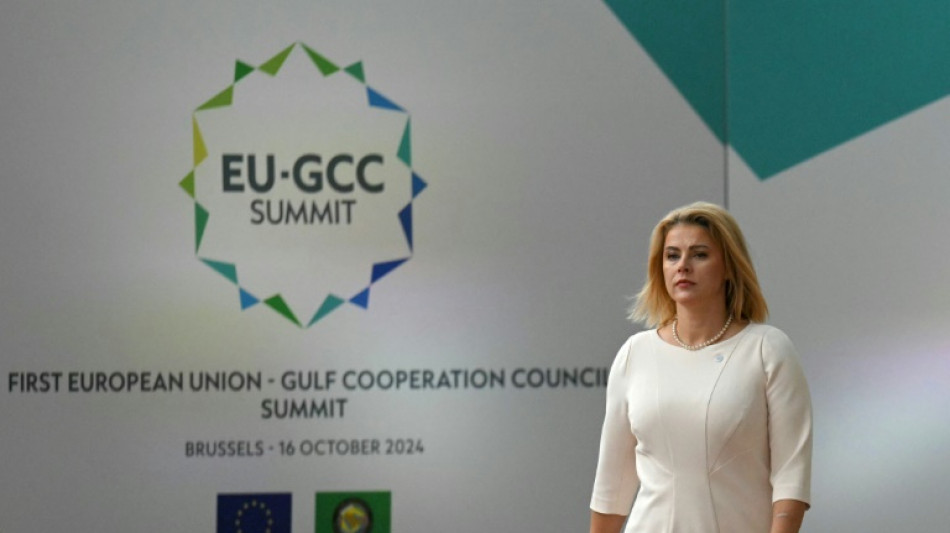 L&iacute;deres da UE e de pa&iacute;ses do Golfo realizam c&uacute;pula sobre Oriente M&eacute;dio