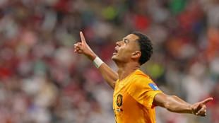 Mondial: Gakpo et les Pays-Bas face au bunker am&eacute;ricain