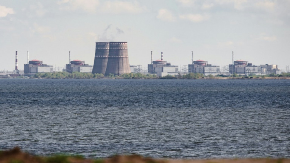 Russischer Verteidigungsminister spricht mit Guterres &uuml;ber Akw Saporischschja