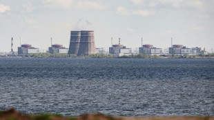 Ukraine : nouvelles frappes &agrave; la centrale nucl&eacute;aire de Zaporijjia, l'ONU inqui&egrave;te