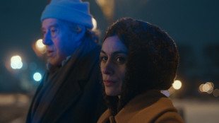 Il georgiano The Antique bloccato pu&ograve; essere mostrato a Venezia