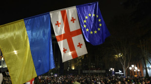 G&eacute;orgie : des dizaines de milliers de manifestants dans les rues pour la quatri&egrave;me nuit cons&eacute;cutive