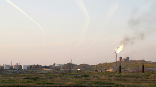 Arabia Saudita, Emiratos, Argelia e Irak anuncian recorte de producci&oacute;n de crudo