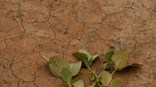 Berlin fordert Reform der Weltbank f&uuml;r mehr Klima- und Gesundheitsschutz