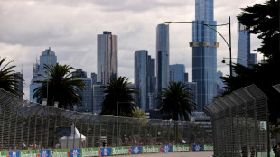 Verstappen fastest in Australian practice, Hamilton second