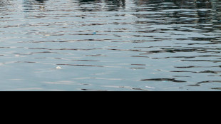 El Nino facilit&ograve; la pandemia di colera agli inizi del '900