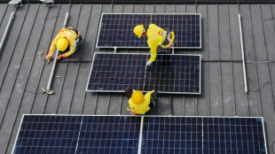 High bills, cheap panels drive a Philippine solar surge