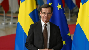 Otan: le Premier ministre su&eacute;dois vient convaincre Erdogan &agrave; Ankara