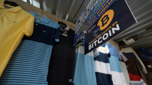 Temp&ecirc;te sur le bitcoin : les Salvadoriens font le gros dos