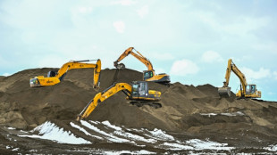 En Hongrie, r&eacute;bellion contre une m&eacute;ga-usine chinoise de batteries