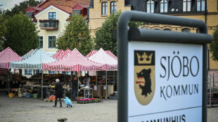 En el basti&oacute;n de la ultraderecha en Suecia est&aacute;n "hartos" de criminalidad