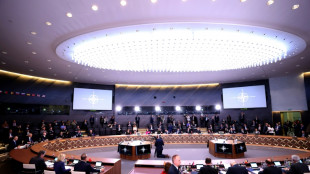 Washington s'active pour soutenir la candidature &agrave; l'Otan de la Finlande et de la Su&egrave;de