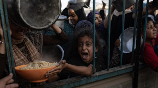 Ong, assedio di Israele blocca l'83% degli aiuti a Gaza