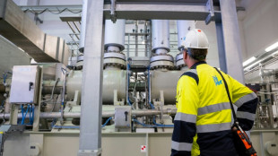 Verdi lobt Staatseinstieg bei Uniper: "Guter Tag f&uuml;r die Energiewirtschaft"