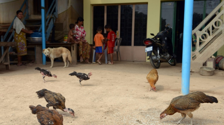 Camboya descarta la transmisi&oacute;n del virus de la gripe aviar entre humanos 