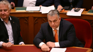 Freedom House sieht Verschlechterung des Zustands der Demokratie in Ungarn