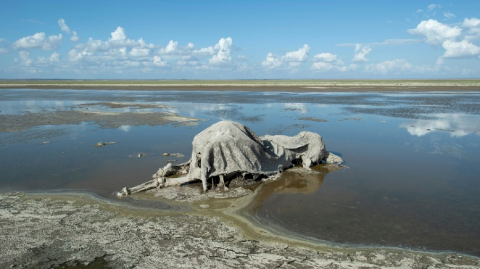P&eacute;nuries d'eau, inondations, eau contamin&eacute;e: les d&eacute;fis li&eacute;s &agrave; l'eau