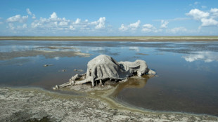 P&eacute;nuries d'eau, inondations, eau contamin&eacute;e: les d&eacute;fis li&eacute;s &agrave; l'eau