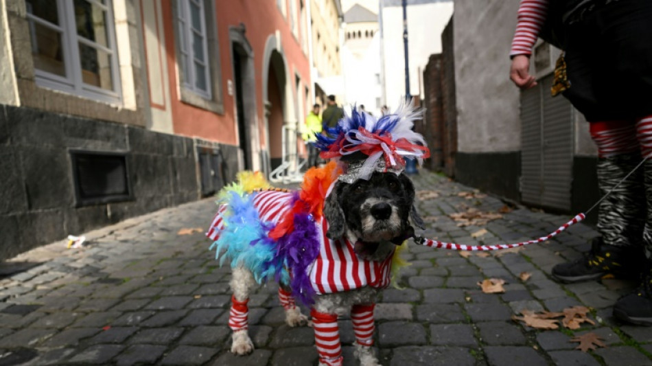 Import von Karnevalsartikeln &uuml;ber dem Vor-Corona-Niveau 