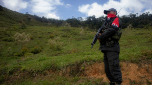 Detienen en España a un fugitivo colombiano integrante de la guerrilla ELN