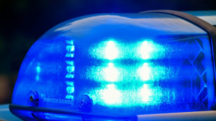 Zwei Festnahmen bei Schlag gegen Clankriminali&auml;t in nieders&auml;chsischem Stade