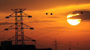 La domanda di energia elettrica in Ue salir&agrave; del 2% l'anno