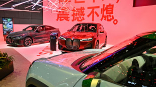 Chef der Bundesbank r&auml;t von hohen Z&ouml;llen auf chinesische E-Autos ab