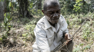 Les pygm&eacute;es aka de Centrafrique menac&eacute;s par la d&eacute;forestation