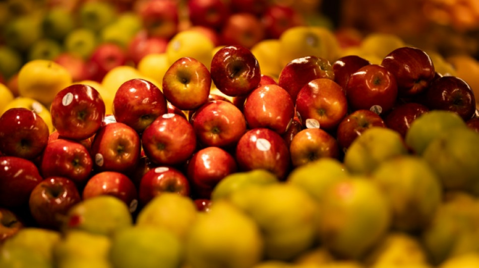 Apfelernte 2024 unterdurchschnittlich - aber weniger Einbu&szlig;en als bef&uuml;rchtet