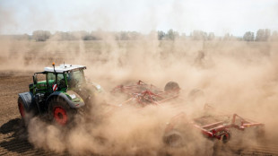 40-J&auml;hriger f&auml;hrt mit Traktor bis vor Lokal in Fu&szlig;g&auml;ngerzone