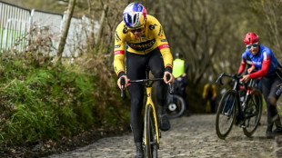 Tour des Flandres: Wout Van Aert, un doute &agrave; lever