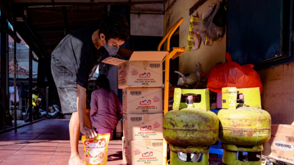 Les Indon&eacute;siens paient cher la crise des huiles v&eacute;g&eacute;tales