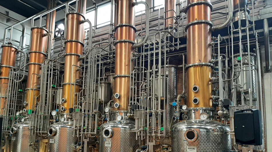 Decreto bollette, ridotti i sostegni alle bioenergie