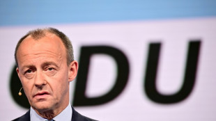 Merz: BKA wurde &uuml;ber meine "m&ouml;gliche Reise" nach Kiew informiert