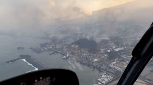 Biden ruft wegen verheerender Buschbr&auml;nde auf Hawaii Katastrophenfall aus