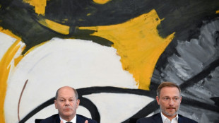 Alemania quiere utilizar beneficios excepcionales de empresas energ&eacute;ticas para bajar precios