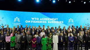 "Dif&iacute;ciles" negociaciones en la OMC sobre agricultura, pesca y comercio electr&oacute;nico 