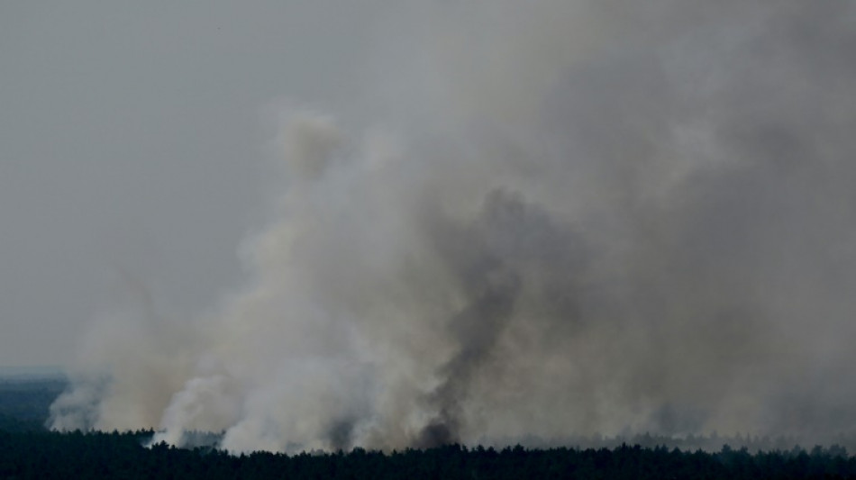 Feuerwehr macht Fortschritte bei L&ouml;schen von Gro&szlig;brand in Berliner Grunewald