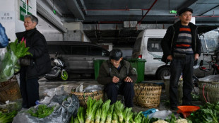 Chine: le p&eacute;riple quotidien des agriculteurs &acirc;g&eacute;s pour gagner un compl&eacute;ment de revenu