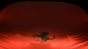 Ferrari sales, earnings guidance shift higher