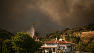 Greek firefighters make progress against wildfires