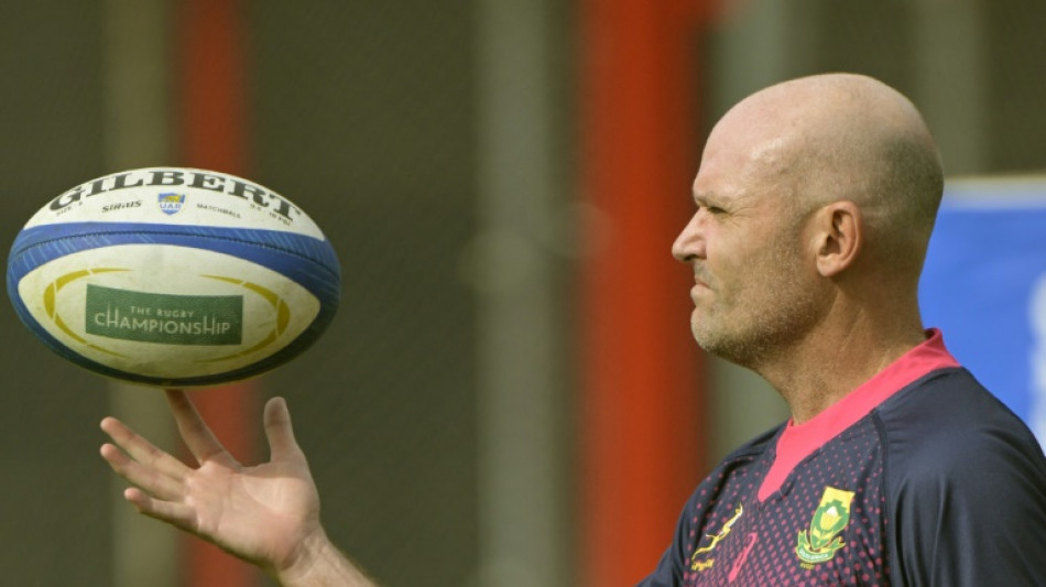 Nienaber to quit Springboks for Leinster after World Cup