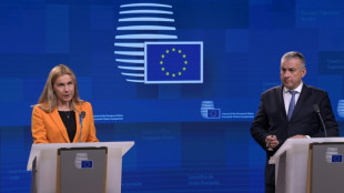 Los ministros europeos de Energ&iacute;a se reunir&aacute;n el 30 de septiembre para examinar el plan de emergencia