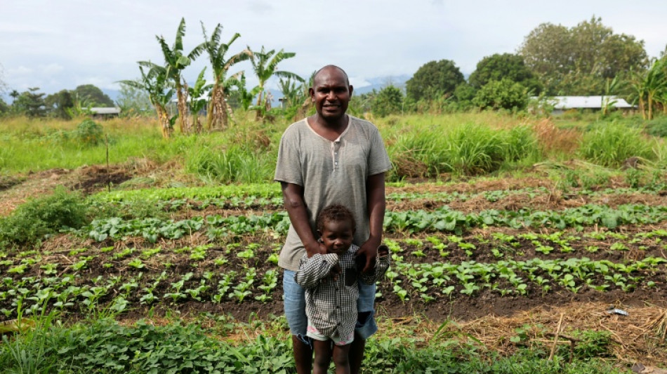 Aux &Icirc;les Salomon, les bombes de la Seconde Guerre mondiale continuent de tuer