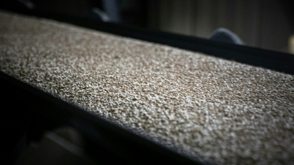 Francia registr&oacute; un crecimiento econ&oacute;mico del 2,6% en 2022