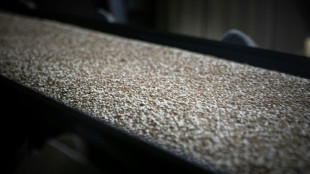 Francia registr&oacute; un crecimiento econ&oacute;mico del 2,6% en 2022